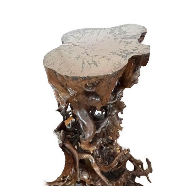 Brown Vintage Tree Root Sculpture With Birds and Monkeys For Sale - Image 8 of 12