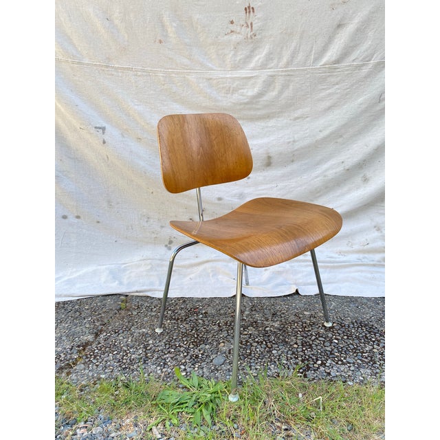 Attributed Charles & Ray Eames for Herman Miller DCM Dining Chair, 1950s–1960s, Molded Birch Plywood For Sale In Seattle - Image 6 of 12