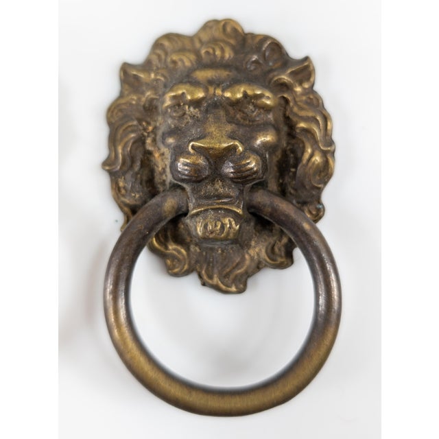 Early 20th Century Set of 8 Lion Head Form Drawer Handle Pulls For Sale - Image 9 of 13