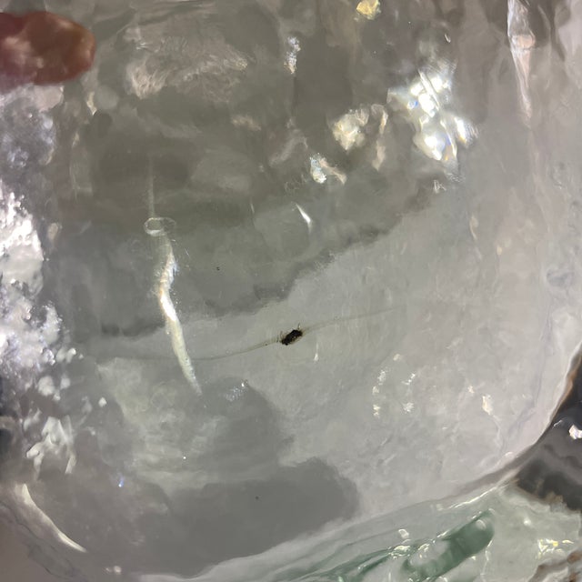 Transparent Handblown Blenko Water Pitcher Green Tinged Glass Spout Indent Side For Sale - Image 8 of 8