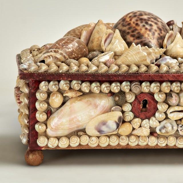 Antique British Colonial Seashell Encrusted Jewelry Box For Sale - Image 9 of 12