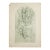 1905 French Art Nouveau Illustration - Alphonse Mucha, Four Girls ('Figures Decoratives,' Plate #6) For Sale