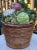 LastCHANCE!Mid-Century Holt Howard Style Trompe L’Oleil Basket of Vegetables For Sale - Image 10 of 17