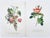 Fresh from a fine New York City estate collection, we have a pleasure to offer you this Portfolio of Fourteen (14)...