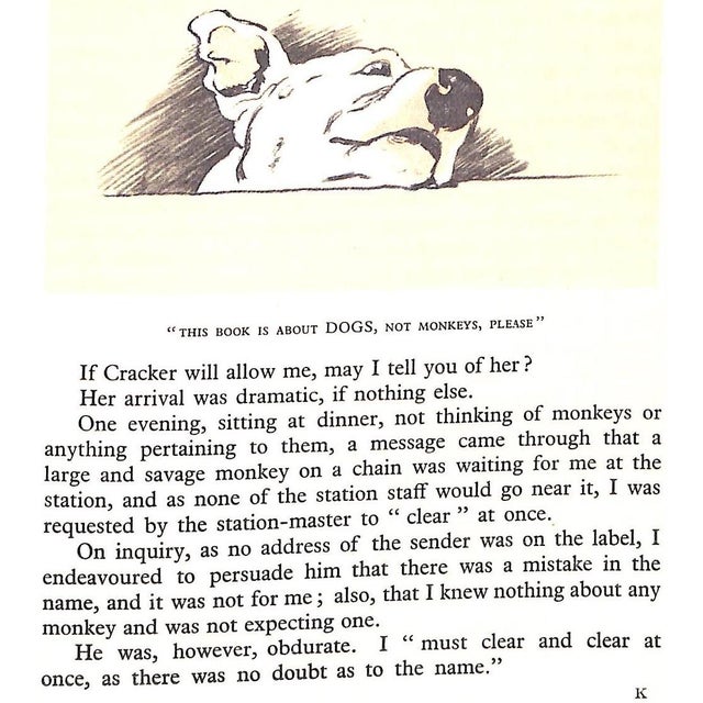 Paper "Dogs of Character" Book 1927 Aldin, Cecil For Sale - Image 7 of 12