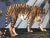 If you love the look of De Gournay wallpaper but not the price, this is for you. Lavish hand‑painted panoramic jungle...