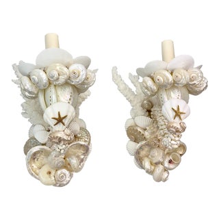 White Shell Sconces - a Pair For Sale