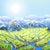 Contemporary River Delta and Mountains by Stephen Dorsett | Photograph of a Miniature Landscape Made From Styrofoam Packaging, Acrylic, and Mouthwash For Sale - Image 3 of 3