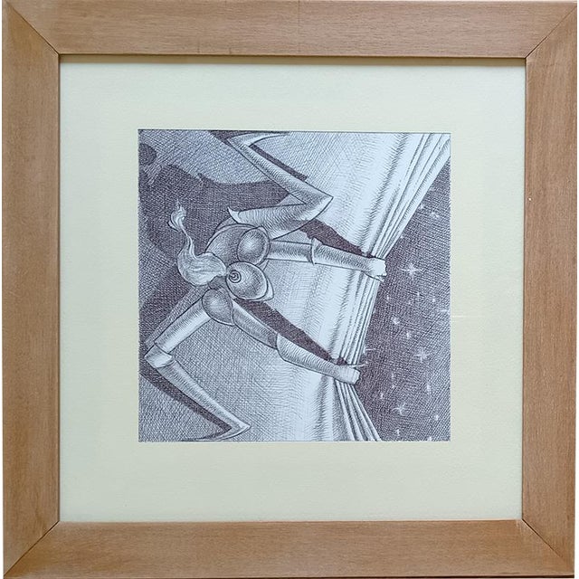 Star Hunter Cesare D'Antonio, in New conditions. Designed from 2000 Signed by Maker