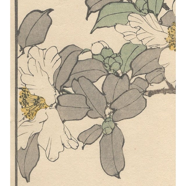 Imao Keinen, Keinen Kacho Gafu, 1892, Print For Sale - Image 6 of 12