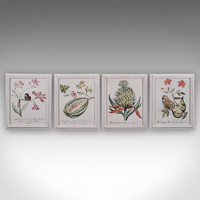 This is a set of 4 vintage botanical pictures. A Continental, framed print of plant illustrations in the manner of...