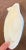 Antique 19th Century French Frosted White Opaline Glass Scallop Sea Shell Dish For Sale - Image 10 of 13