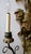 Opposing Pair of Polychrome Hand Carved Wood and Iron Monkey Wall Sconces C 1920 For Sale - Image 10 of 16