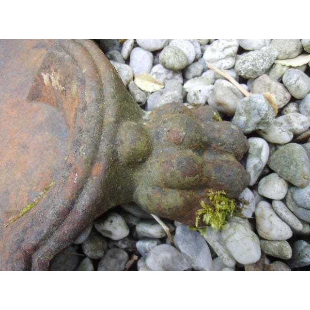 Antique Iron Birdbath, 1890s For Sale - Image 10 of 12