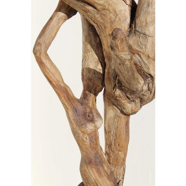 1950s Monumental Figurative Mid Century Driftwood Sculpture For Sale - Image 9 of 12