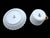 Ancona Teacups by Richard Ginori for Doccia Manufacture, 1980s, Set of 12 For Sale - Image 4 of 10