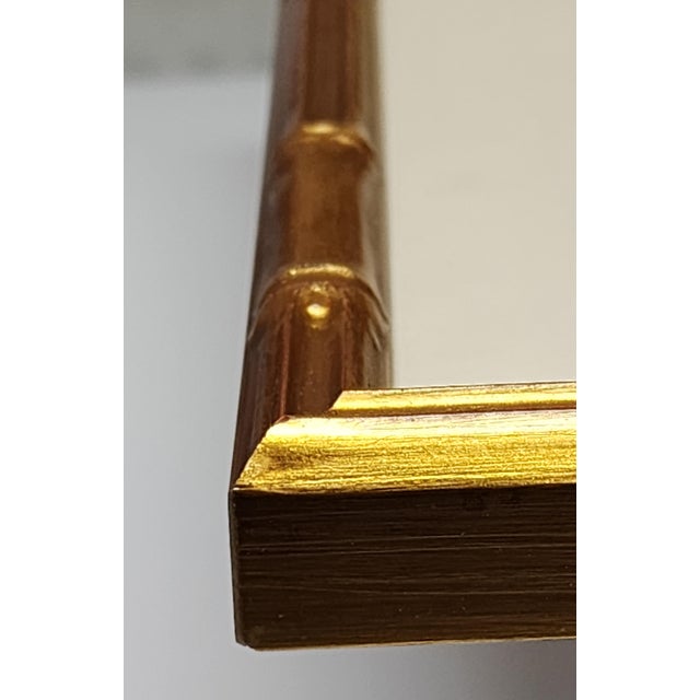 Barraband Parrots – Macaws (Set of 2), Framed in Bronze Bamboo For Sale - Image 4 of 7