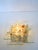 Pavo Wall or Ceiling Lamp in Murano Glass by Albano Poli for Poliarte, Italy, 1970s For Sale - Image 11 of 11