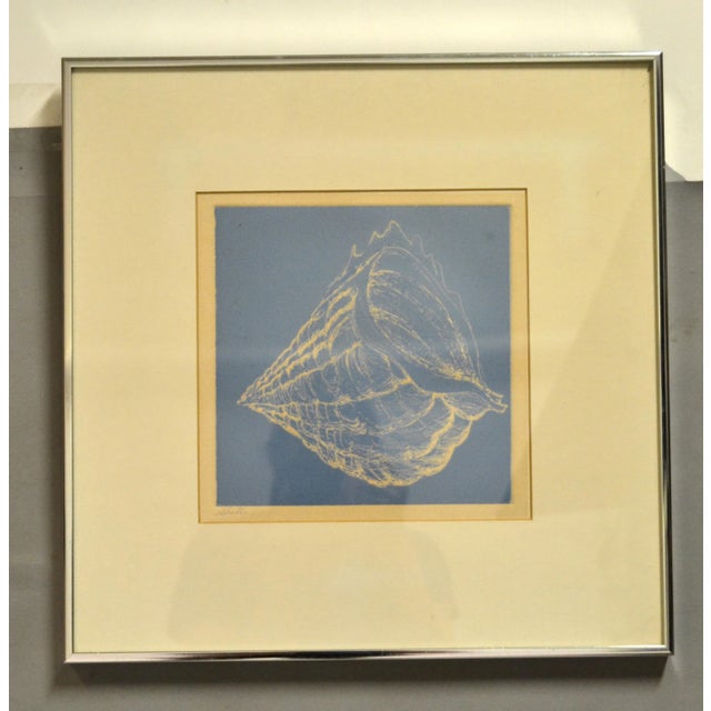 1980s Framed Realism Blue & Beige Seashell Pencil Painting, Fine Art Brushed Chrome For Sale - Image 5 of 11