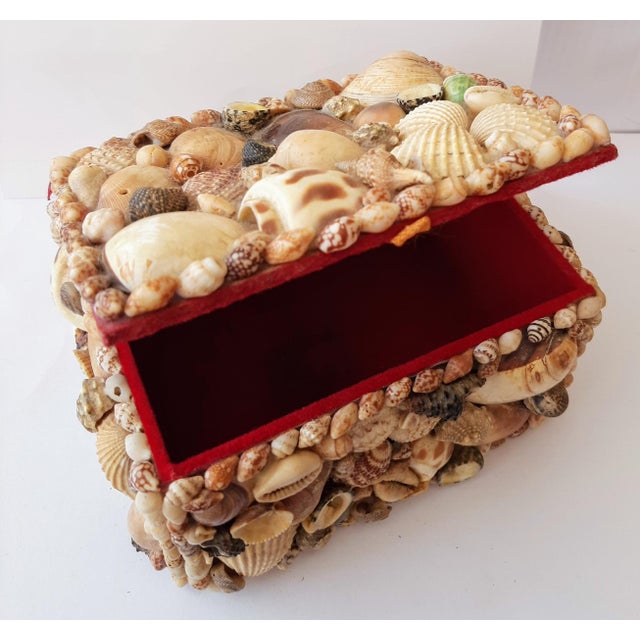 Nautical Vintage Coastal Encrusted Shell Box For Sale - Image 3 of 12