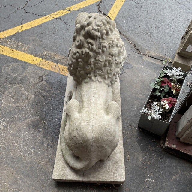 Vintage Large Concrete Lion Statue With Roaring Expression Chairish