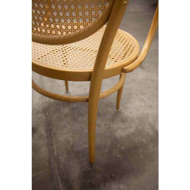 Model 210 R Armchair with Honey-Colored Caning by Michael Thonet for Thonet, 1990s For Sale - Image 9 of 18