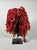 19th Century 19th Century Mwana Pwo Tshokwe mask For Sale - Image 5 of 6