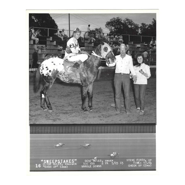 1965 Equestrian of Sweepstakes in the Winner's Circle For Sale