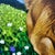 Joy Runs Free, Acrylic, Unique, Contemporary, Realistic Dog Painting byMadoti Oluwadamilare (2026), Acrylic on Canvas For Sale - Image 4 of 6