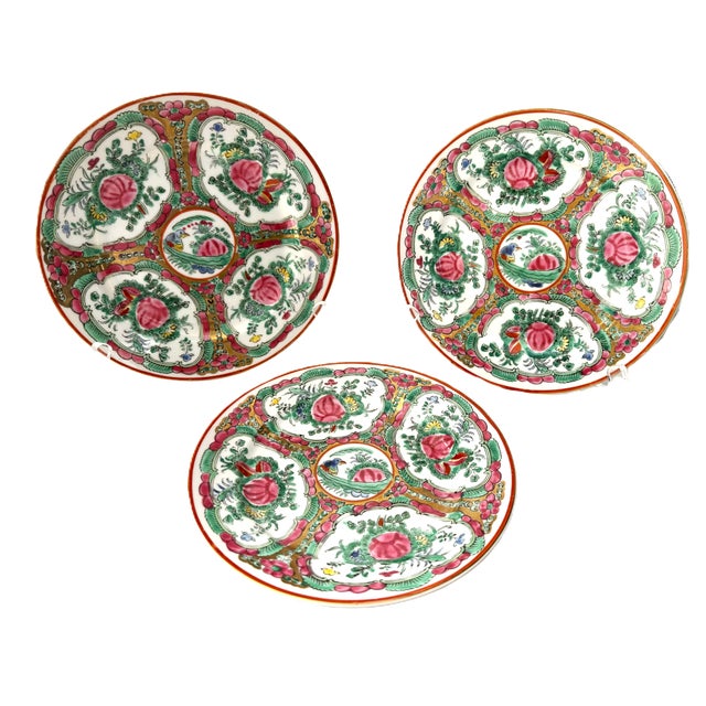 Vintage Rose Medallion Plates, Set of 3 For Sale - Image 10 of 10