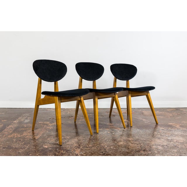 Mid-Century Modern Vintage GFM 22 Chairs by J. Kędziorek, Poland, 1960s, Set of 3 For Sale - Image 3 of 14