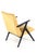 De Lier Lounge Chair For Sale - Image 10 of 16