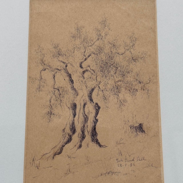 Vintage Original Italian Pen and Ink Drawing Ancient Gnarled Tree Signed 1993 For Sale In Tampa - Image 6 of 12