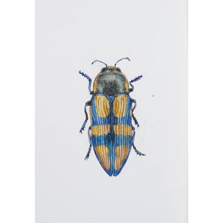 Juris Utans, Ocher-Blue Peace Beetle, 2021, Mixed Media and Paper For Sale