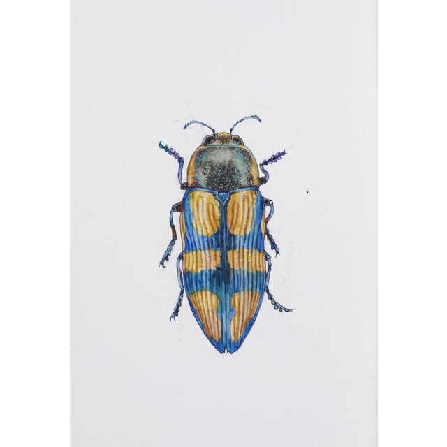 Juris Utans, Ocher-Blue Peace Beetle, 2021, Mixed Media and Paper For Sale