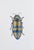 Juris Utans, Ocher-Blue Peace Beetle, 2021, Mixed Media and Paper For Sale