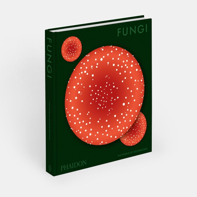 Contemporary Fungi: The World of Mushrooms For Sale - Image 3 of 9