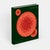 Contemporary Fungi: The World of Mushrooms For Sale - Image 3 of 9