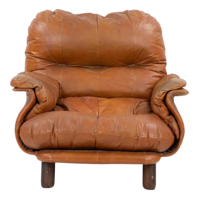Vintage Leather Armchair by Cobianchi for INSA, Italy, 1970s For Sale