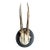 Roe Deer Trophy 77 Black Forest Antlers Mount For Sale
