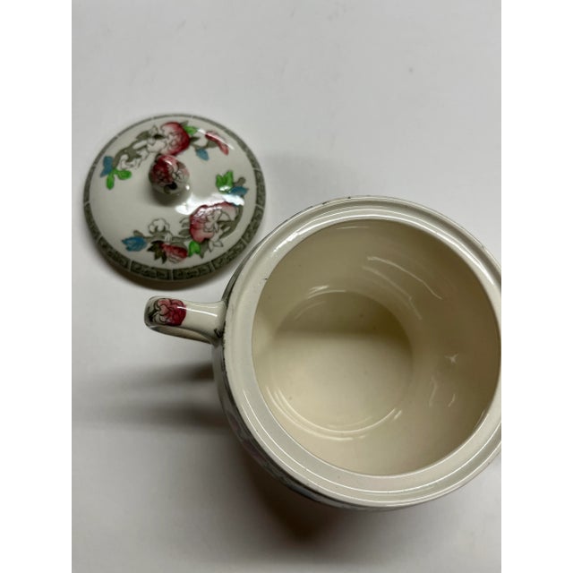 English Antique English Indian Tree Sugar Bowl For Sale - Image 3 of 5