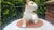 Vintage Porcelain Lion Figurine, 1960s For Sale - Image 4 of 10