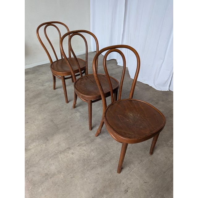 Wood Vintage Carved Bentwood Farmhouse Dining Chairs, 1970s, Set of 3 For Sale - Image 7 of 18