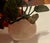 Gemstone Asian Rose Quartz Carved Plum/Peach Fruit Hard Stone Leaves For Sale - Image 7 of 9