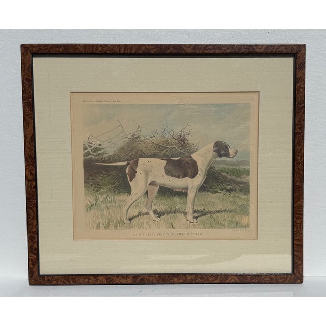 Cream Original 1881 Chromolithograph of Pointer Dog "Wagg" From Cassell's Illustrated Book of the Dog, by Vero Shaw For Sale - Image 8 of 9
