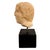 Grand Tour 19th Century Italian Grand Tour Marble Bust For Sale - Image 3 of 12