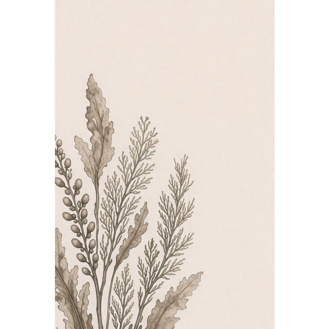 Paper Coastal Seaweed Study Ii, Minimalist Botanical Art Print, 24" × 36" Reproduction For Sale - Image 7 of 10