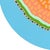Paint Cantaloop - Original Vibrant Abstract Fruit Still Life Painting on Panel by Will Beger For Sale - Image 7 of 9