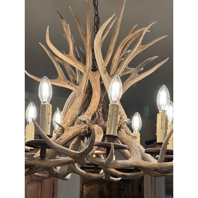 Vintage Antler Chandelier For Sale - Image 9 of 9