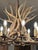 Vintage Antler Chandelier For Sale - Image 9 of 9